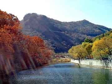 新澳天天开奖资料大全旅游团，泛目录寄生虫